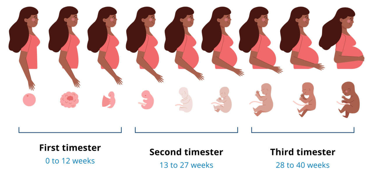 Pregnancy SYNLAB Nigeria