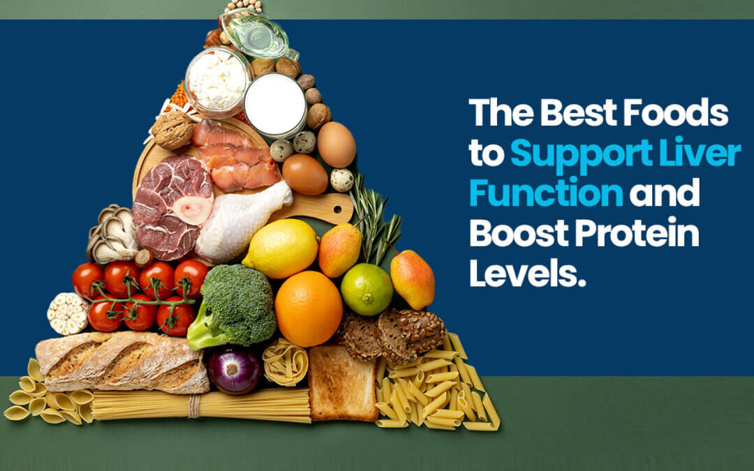 The Best Foods to Support Liver Function and Boost Protein Levels