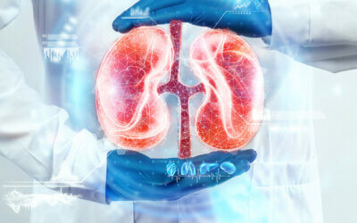 The Importance of Monitoring Kidney Function