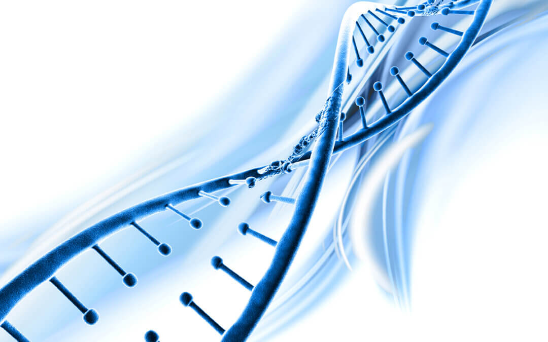 What You Need To Know About Genotype Testing
