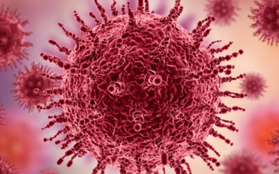 A Proper Understanding of HPV (Human Papillomavirus)