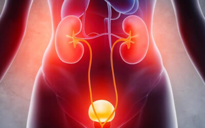 Urinary Tract Infection (UTI): Symptoms, Causes and Treatment