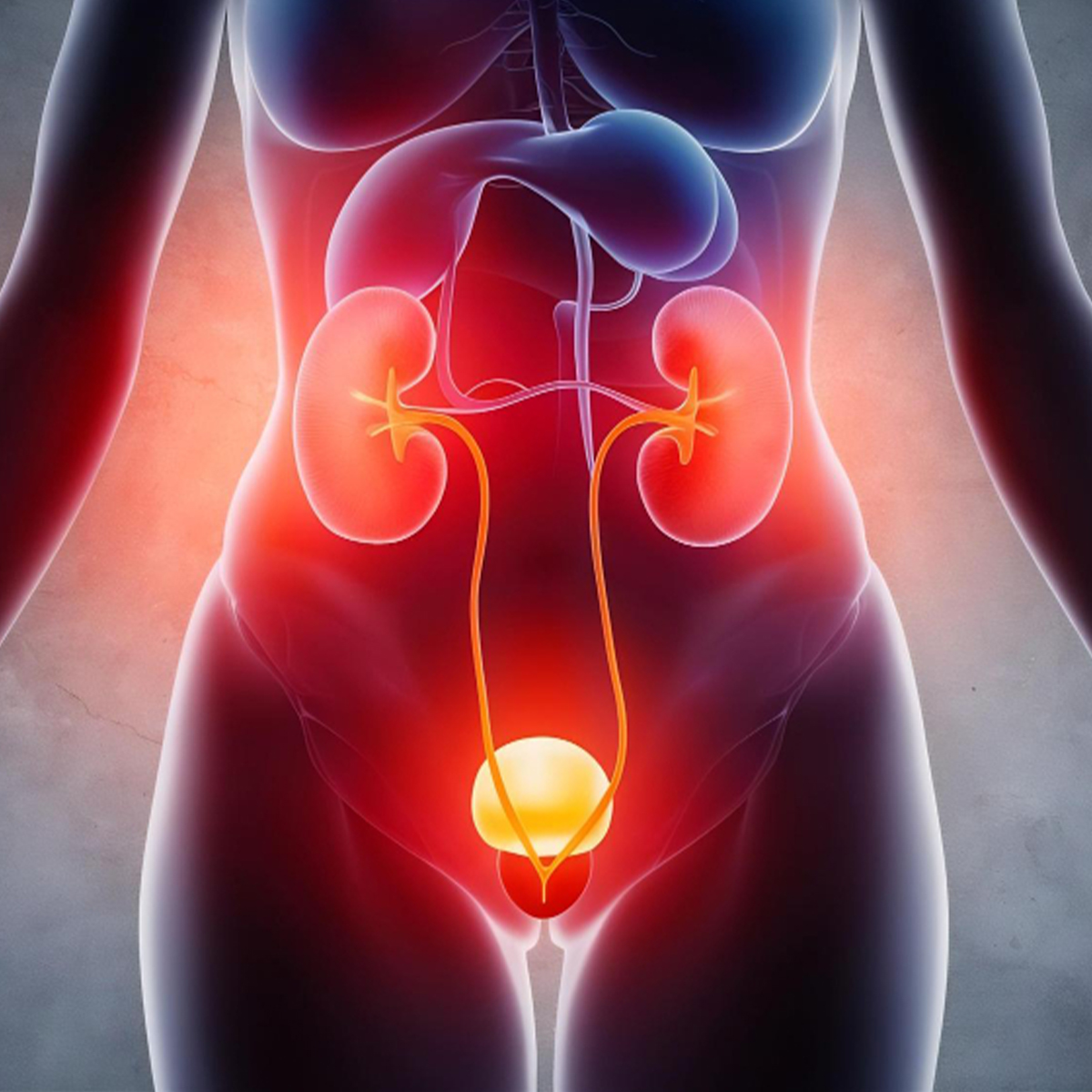 Urinary Tract Infection UTI Symptoms Causes And Treatment SYNLAB Urinary Tract Infection UTI Symptoms Causes And Treatment SYNLAB