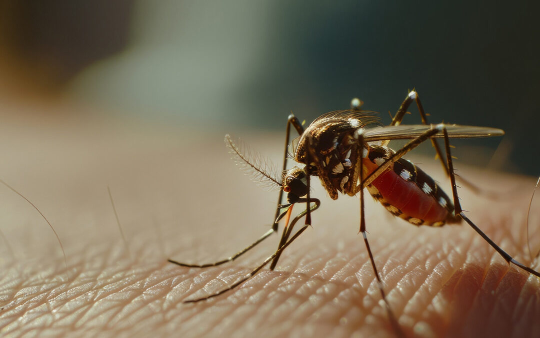 Malaria vs Typhoid: What Test Do You Really Need in Nigeria?